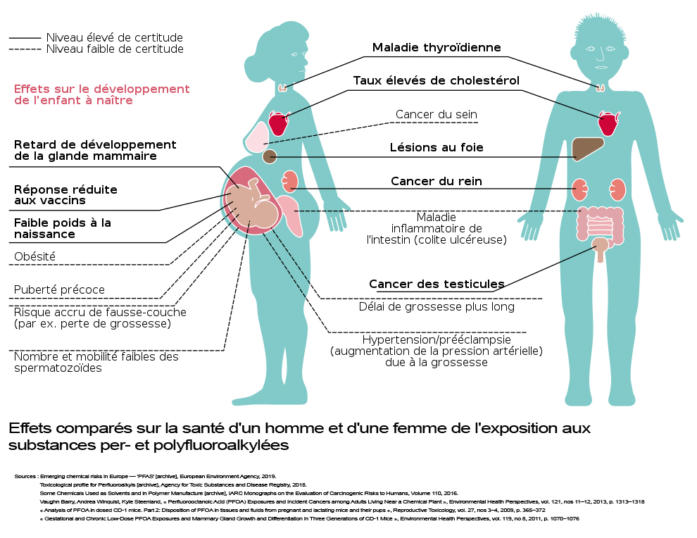 Impacts du perfluoré sur la santé